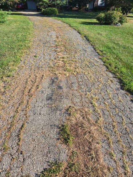 Cracked asphalt driveway overgrown with dry grass, flanked by green lawns, leading toward houses.