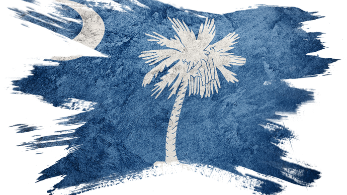 A painting of the flag of south carolina with a palm tree and a crescent moon.