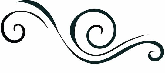 A black decorative flourish featuring elegant, symmetrical swirls and elegant curves on a white background.