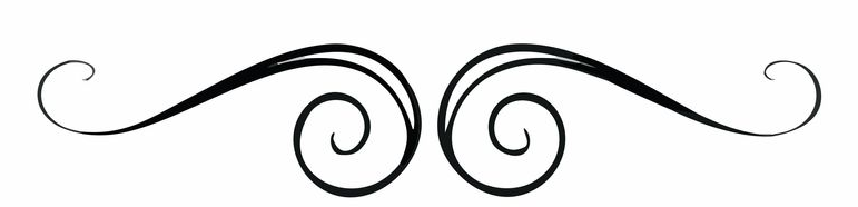 A black ornamental flourish or decorative divider featuring symmetrical swirling linework on a white background.