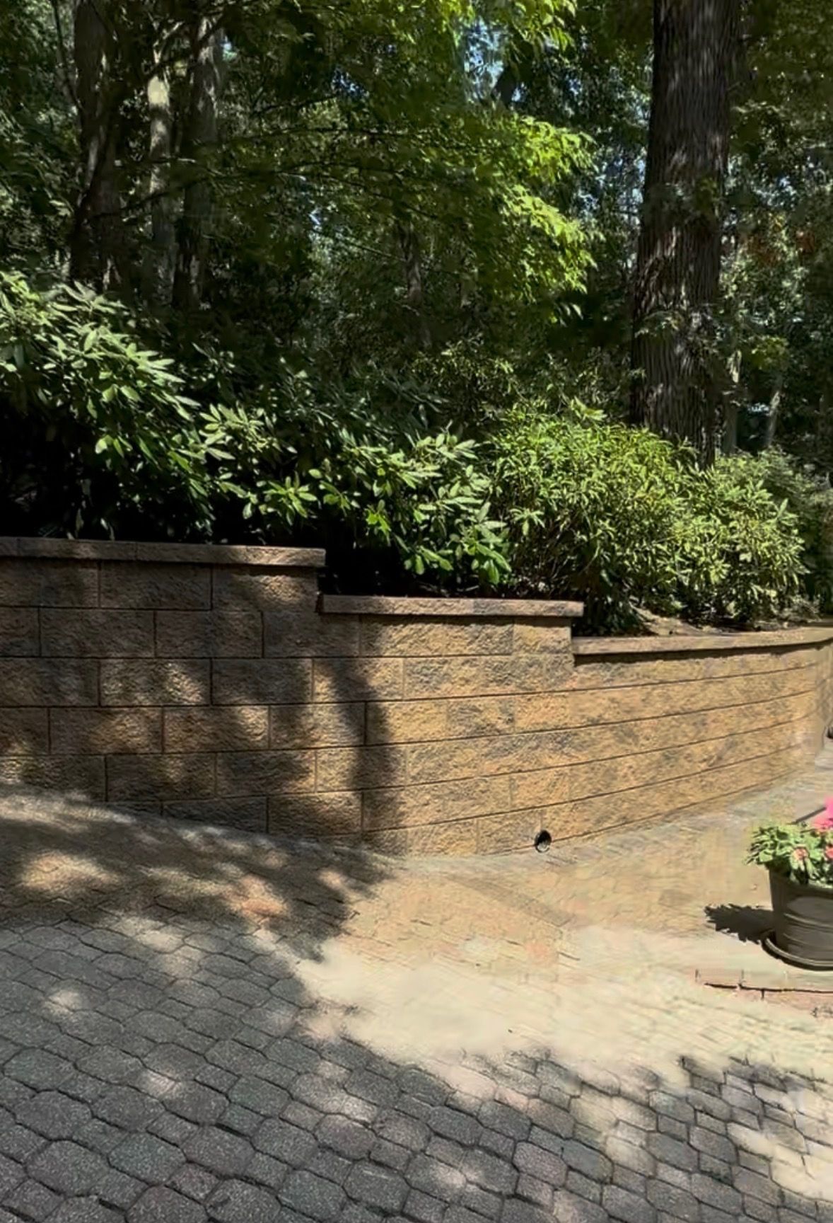 Retaining wall made of brown bricks with bushes on top. Paved area in the foreground and trees in the background.