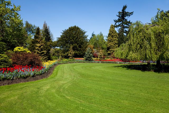 landscaping webster ny