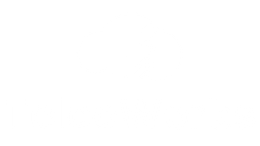 TelcoWorks logo