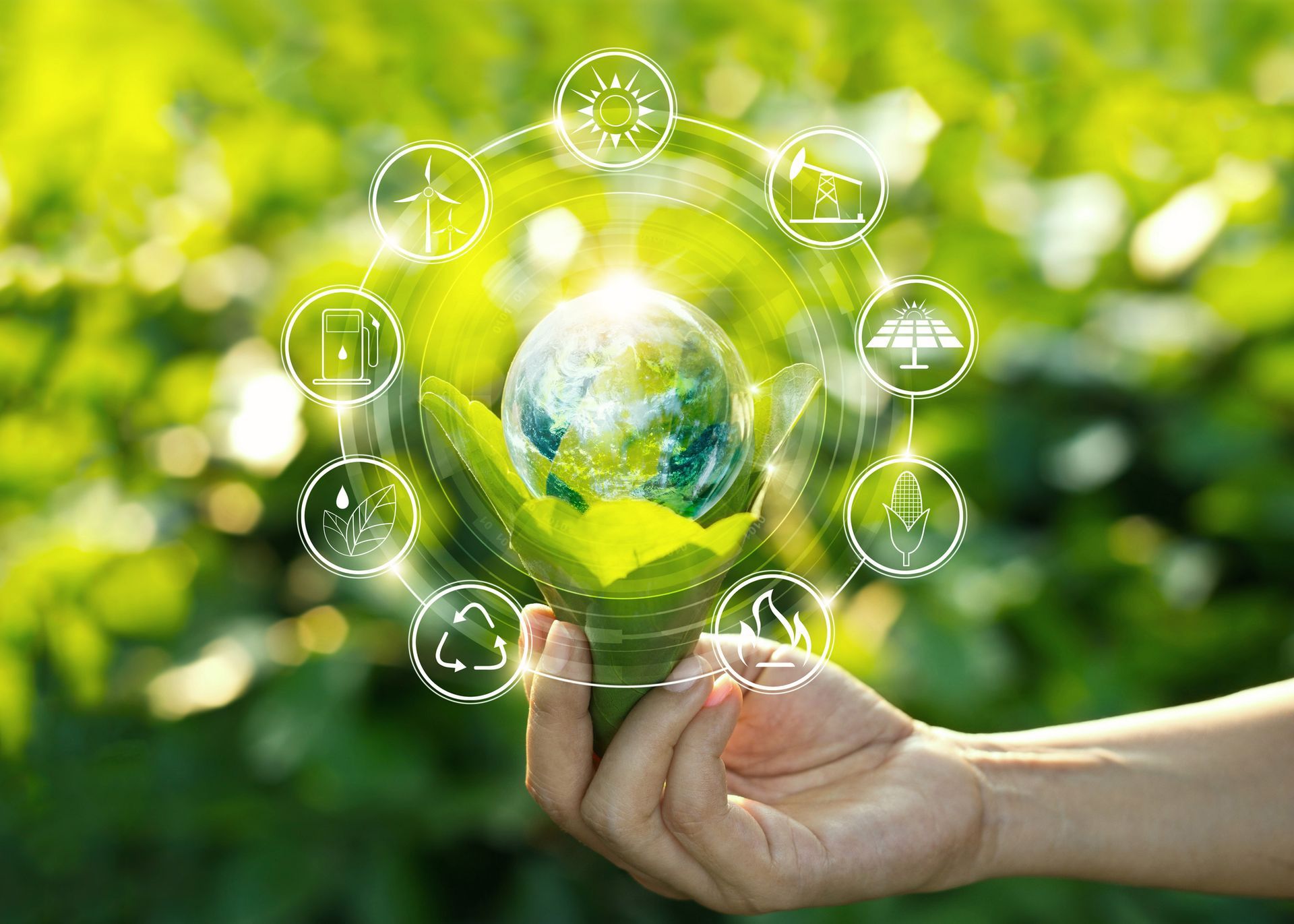 Hand holding light bulb against nature on green leaf with icons energy sources for renewable, sustainable development. Ecology concept. Elements of this image furnished by NASA. — Gwen Zervas, NJDEP — CPES