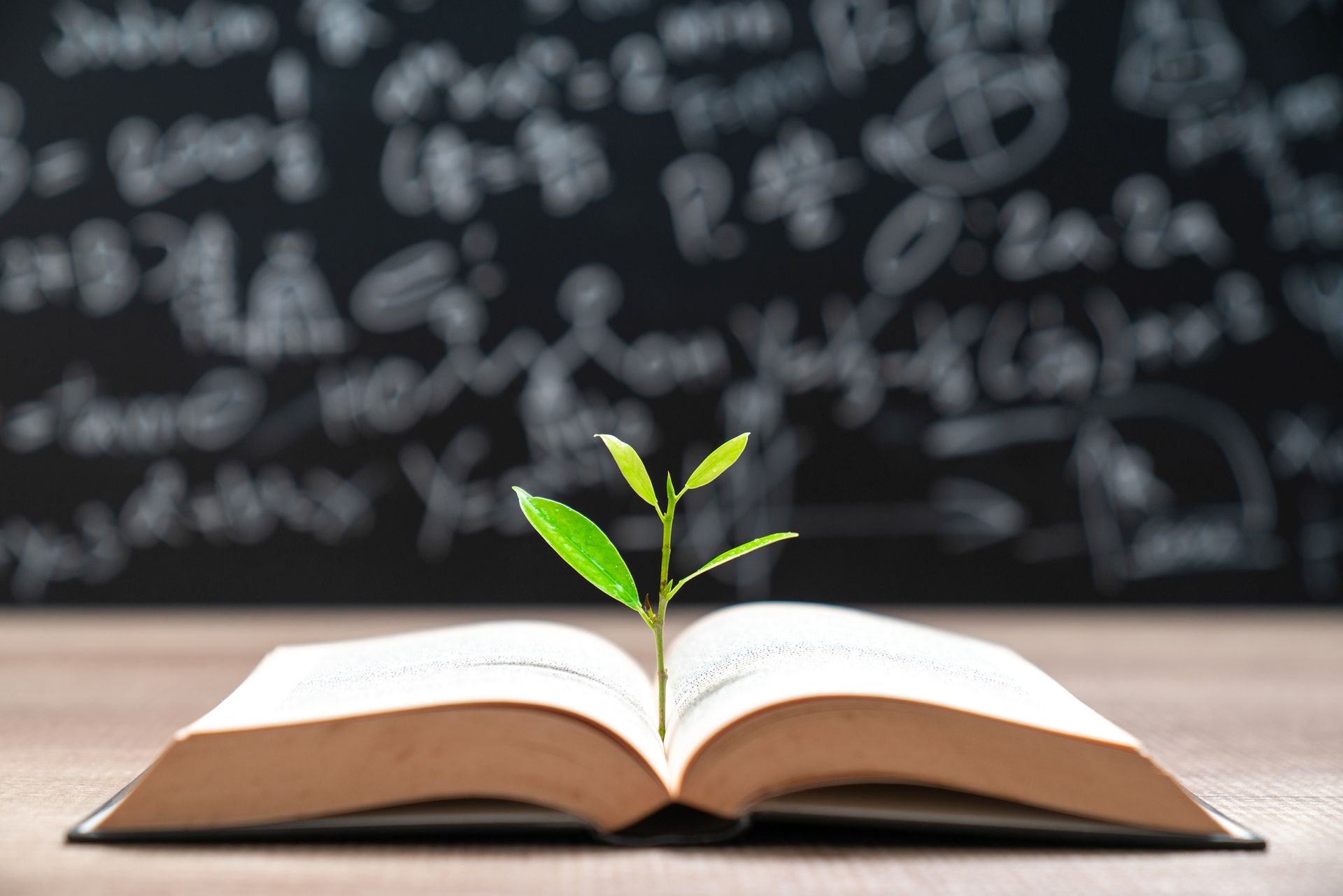 World philosophy day education concept with tree of knowledge planting on opening old big book — Gwen Zervas, NJDEP — CPES