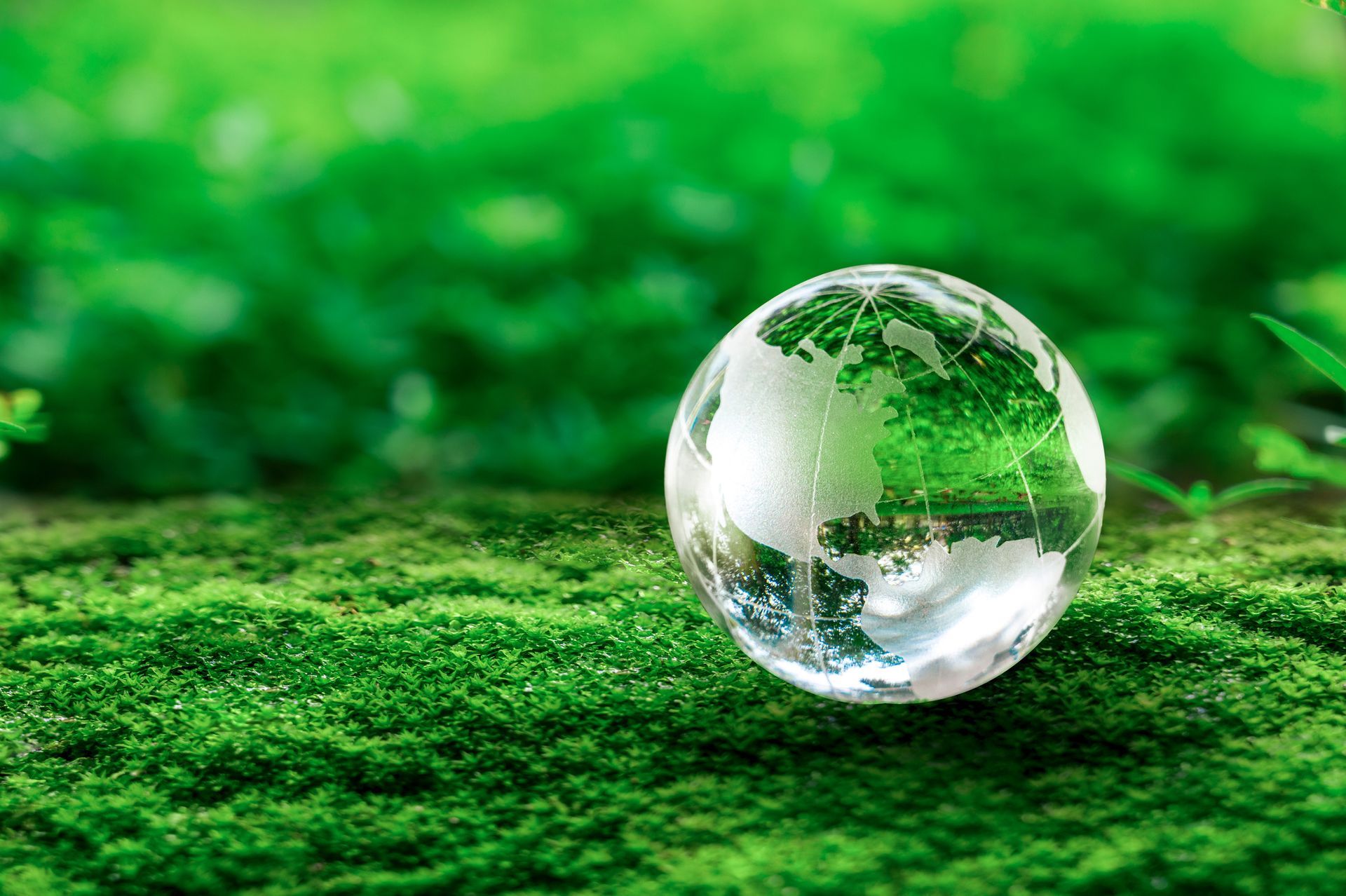 Hand holding light bulb against nature on green leaf with icons energy sources for renewable, sustainable development. Ecology concept. Elements of this image furnished by NASA. — Gwen Zervas, NJDEP — CPES