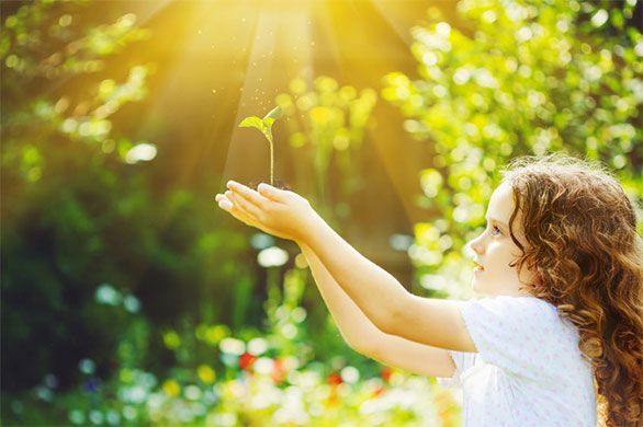 Girl holding a sprout towards the sun, surrounded by green foliage, sunshine.