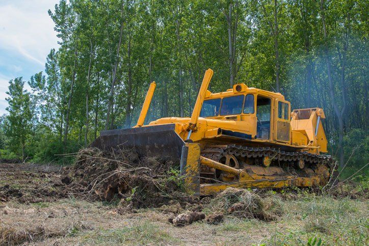 Land Clearing & Excavation Ocala, FL