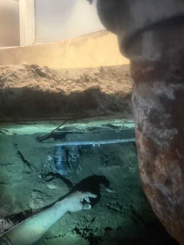 A person is looking at a cat in a tank of water.