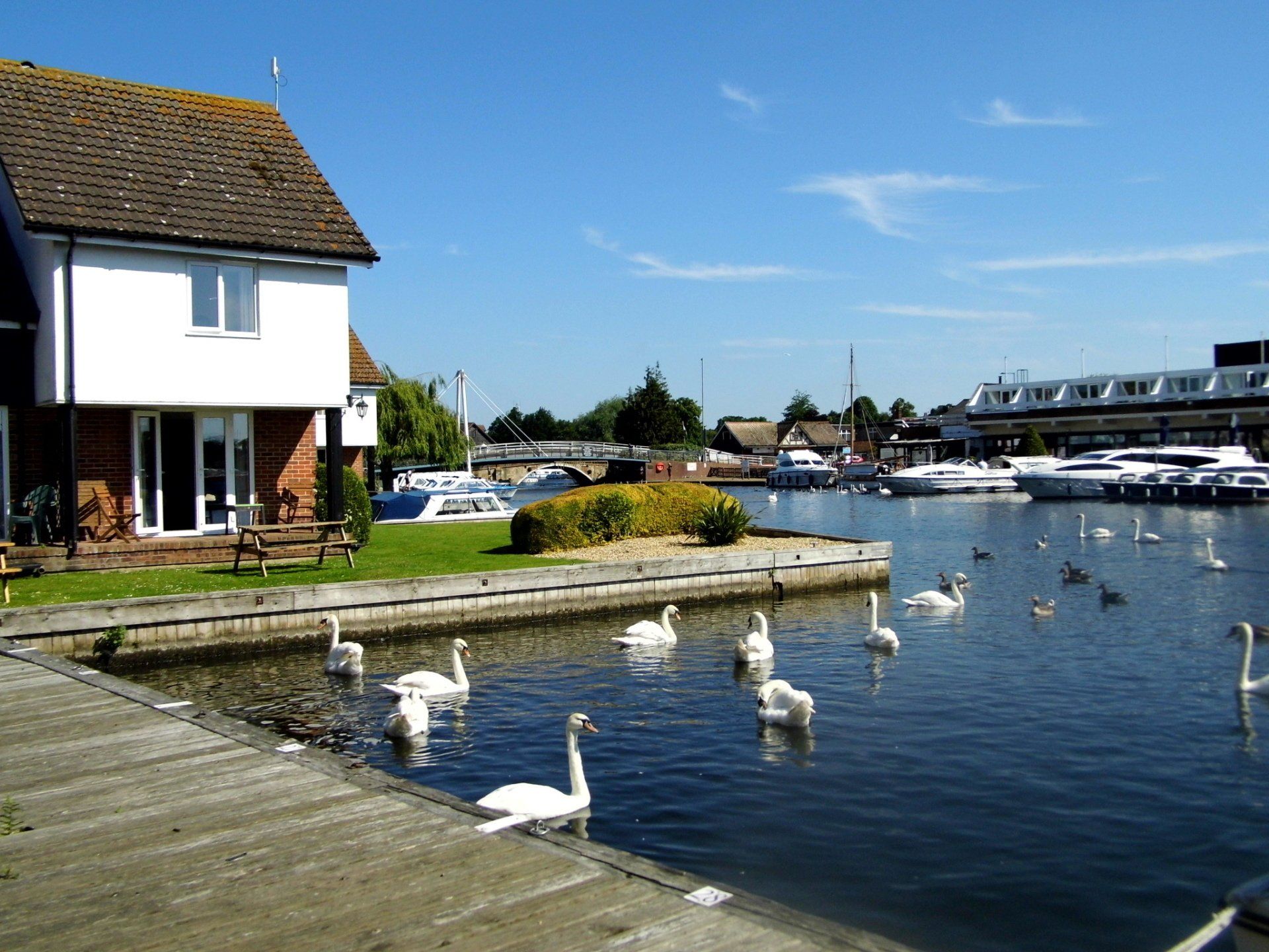 Wherry Cottage garden and mooring on bank of River Bure