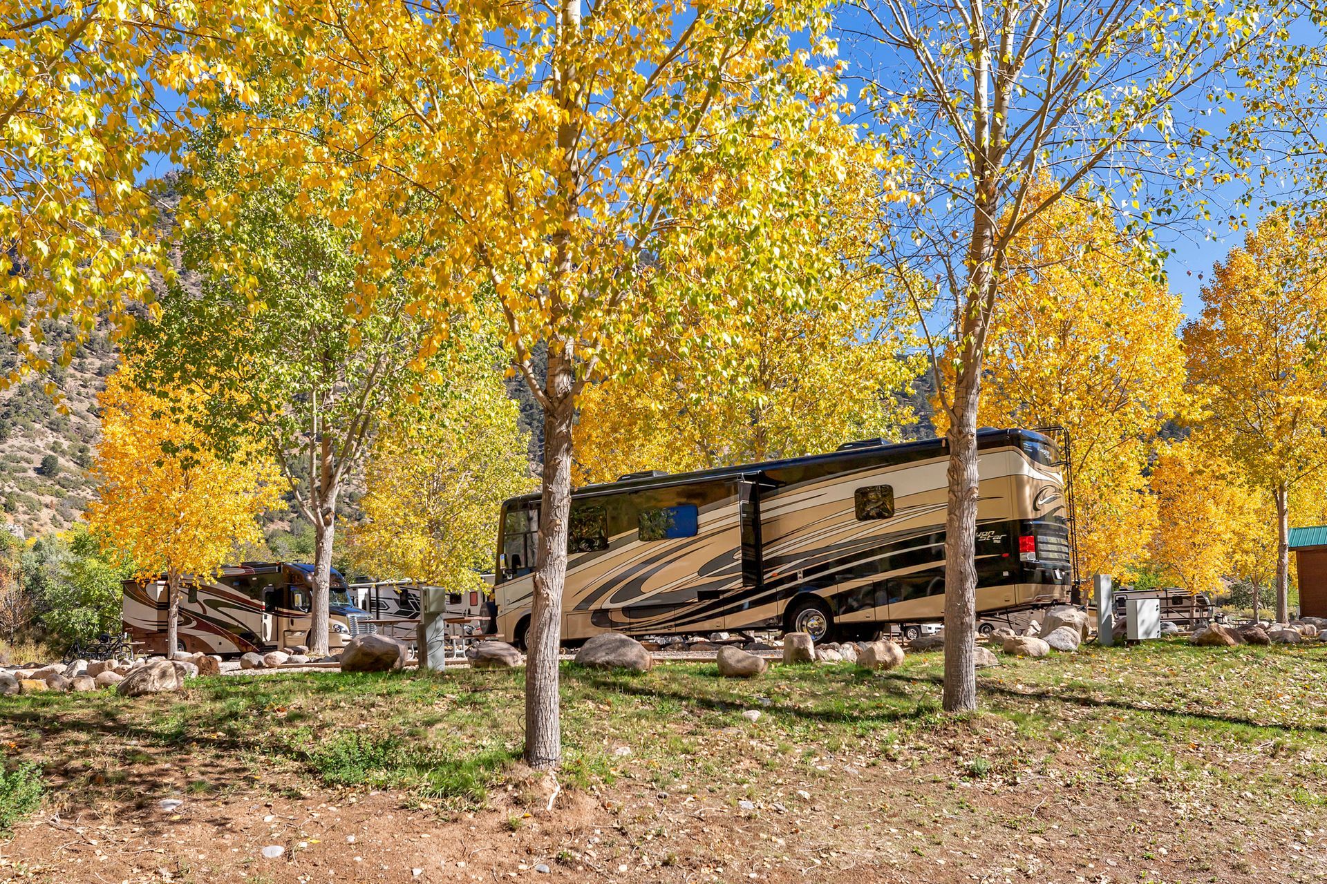 A rv is parked in a campground surrounded by trees with yellow leaves.