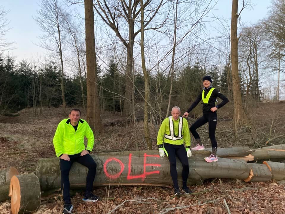 Tre personer sidder på en træstamme i skoven.