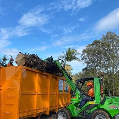 Insurance Work - Tree Removal In Lismore, NSW Insurance Work - Tree Removal In Lismore, NSW
