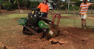Stump Grinding - Tree Removal In Lismore, NSW