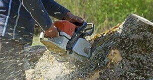 Tree removal - Tree Removal In Lismore, NSW