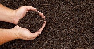 Mulching & Chipping - Tree Removal In Lismore, NSW