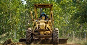 Land Clearing - Tree Removal In Lismore, NSW