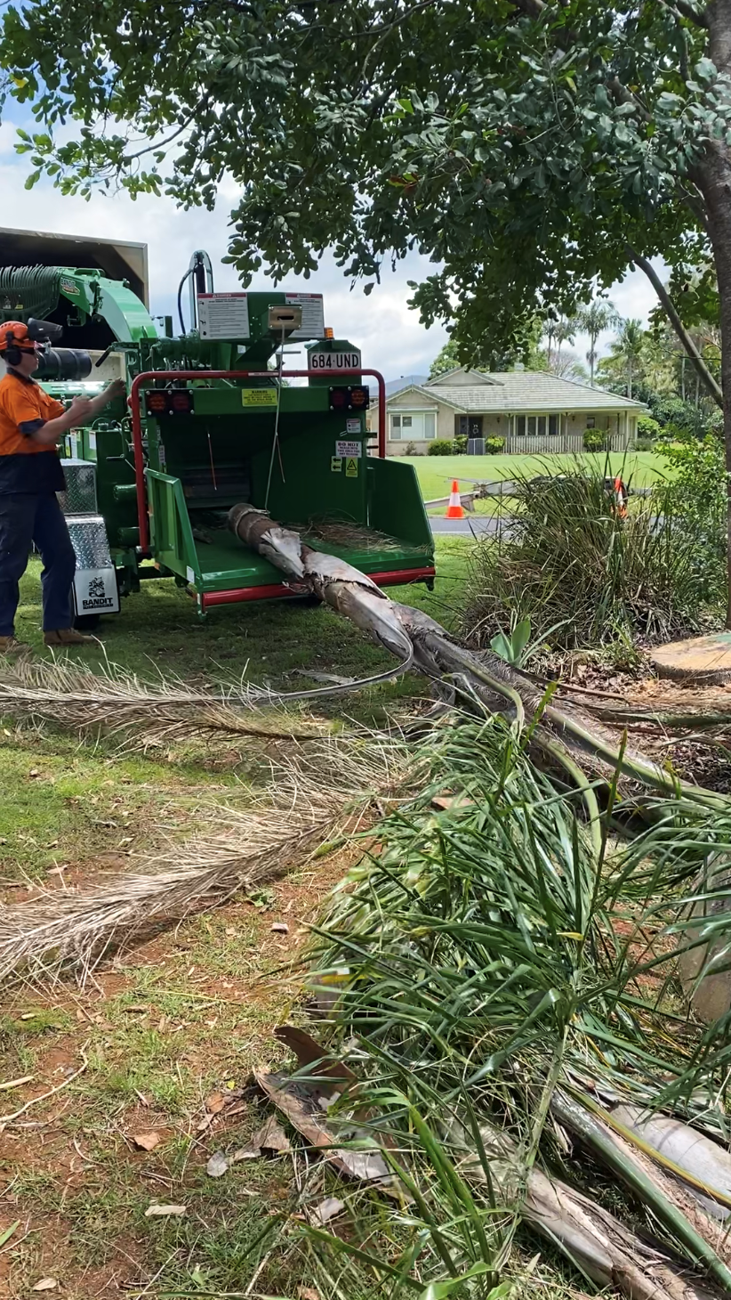 Mulching & Chipping - Tree Removal In Northern Rivers, NSW