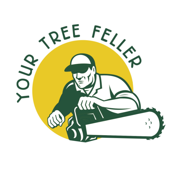 Tree Removal Ballina, Byron Bay & Lismore