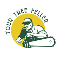 Tree Removal Ballina, Byron Bay & Lismore