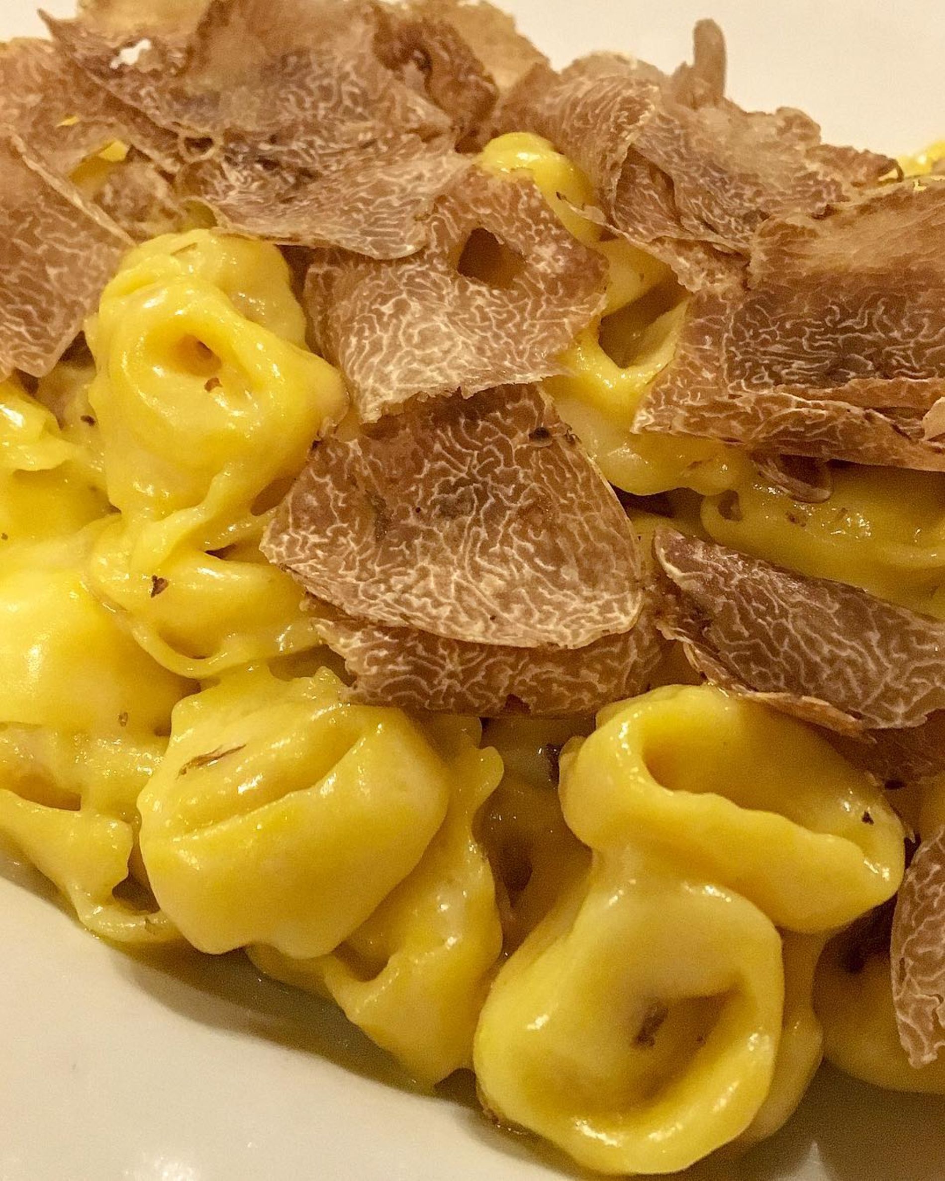 first courses traditional trattoria Bologna