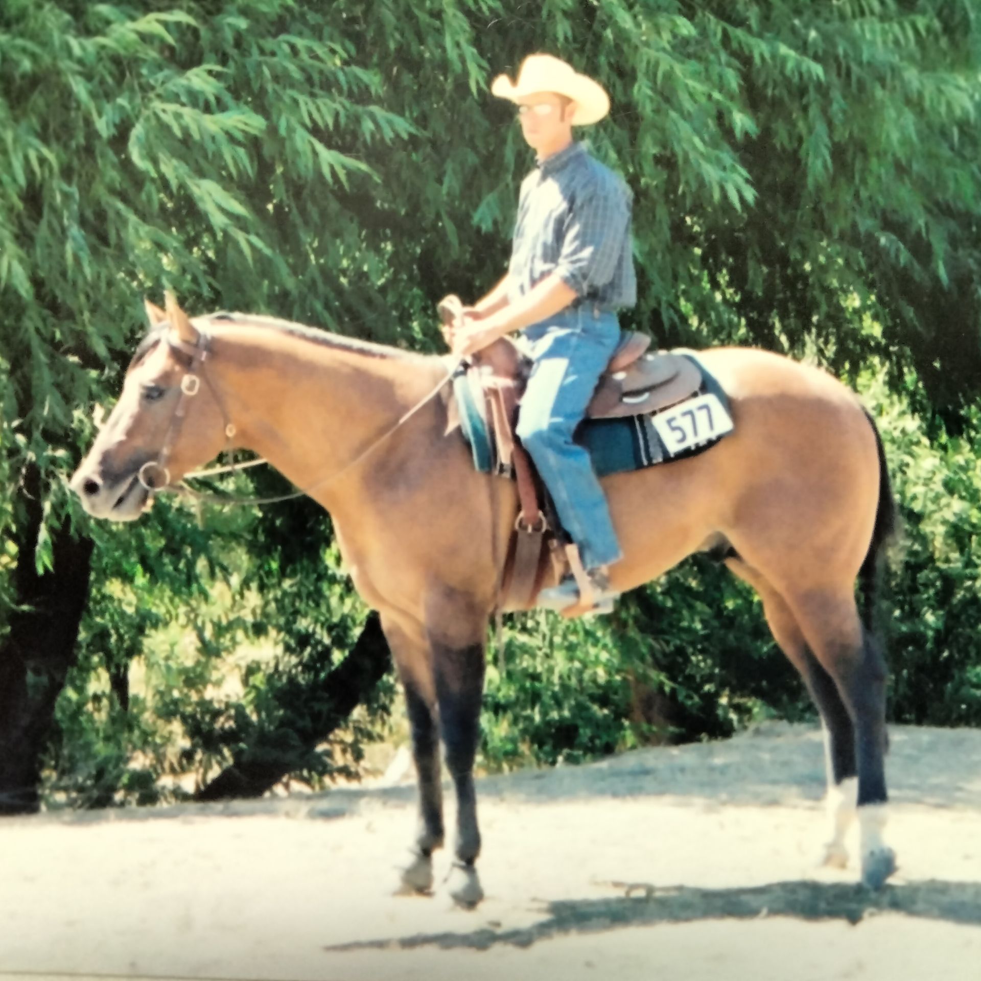 Man on tan horse in a western saddle, outdoors. The man wears a cowboy hat. Horse has black legs, white marking.