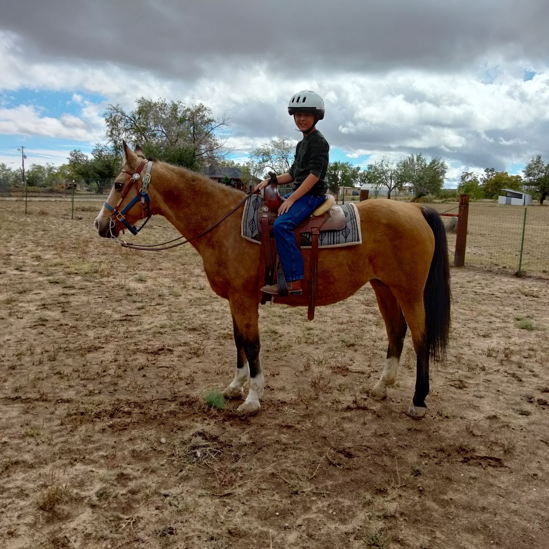 Boy on a tan horse in an outdoor setting, wearing a helmet and riding gear.
