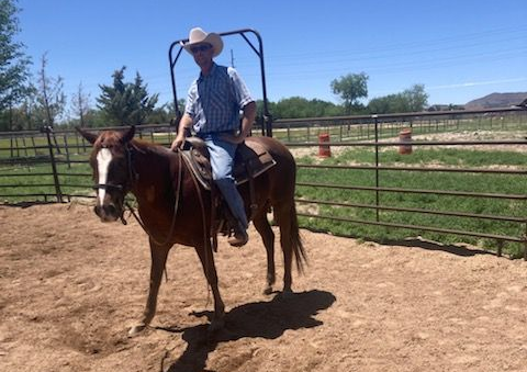 Three horses grazing in a green field with red flowers, rolling hills, and a blue sky.