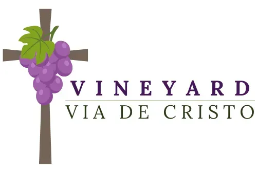 VINEYARD VIA DE CRISTO