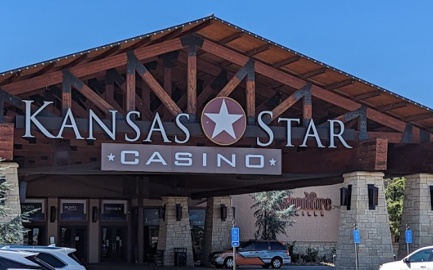Meerkats standing on rock