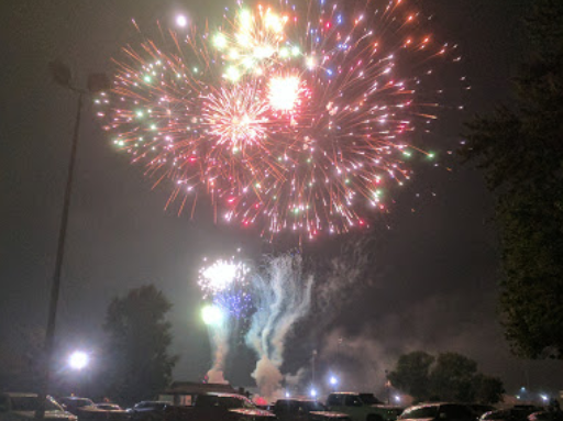 Meerkats standing on rock