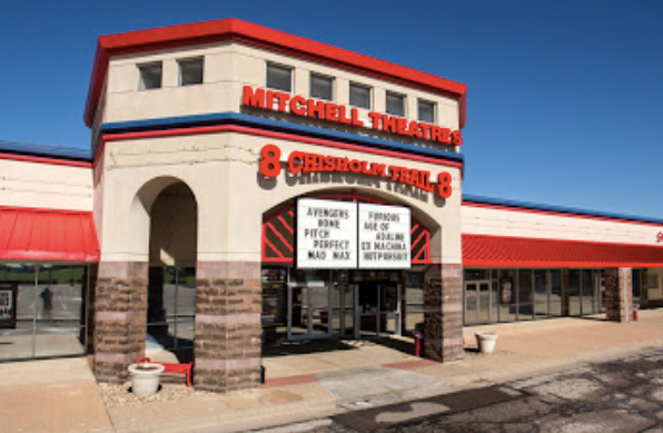 Meerkats standing on rock