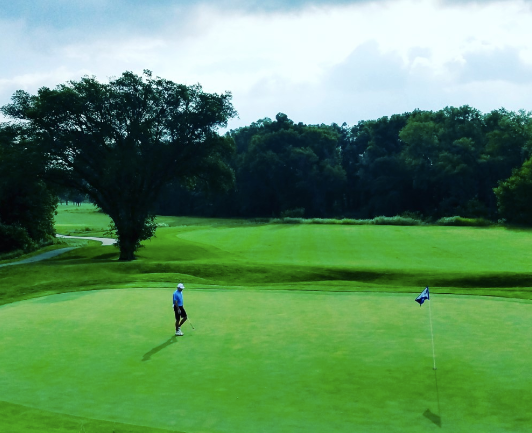 Yellow and black butterfly sculpture