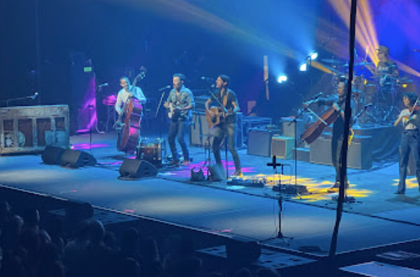 Meerkats standing on rock