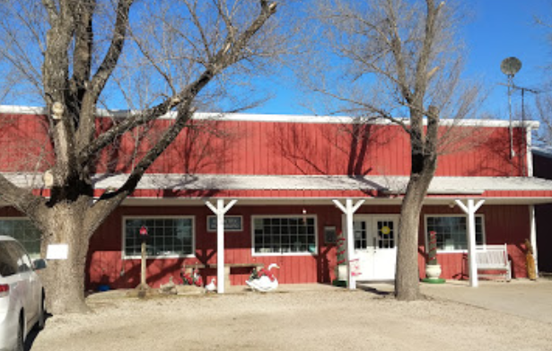 Meerkats standing on rock