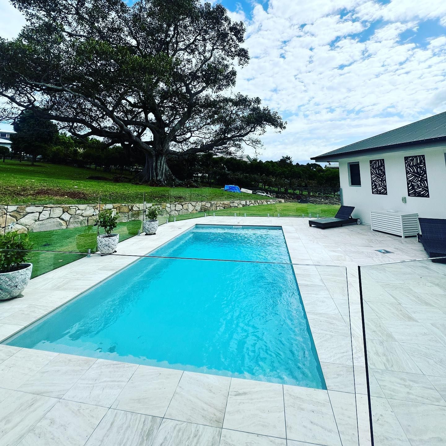 Swimming Pool With Turquoise Water, Patio, and White House Under a Large Tree — Bombs Away Pools in Coolangatta, QLD