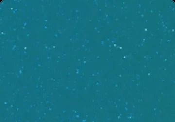 Teal Background With Scattered White Specks — Bombs Away Pools in Coolangatta, QLD