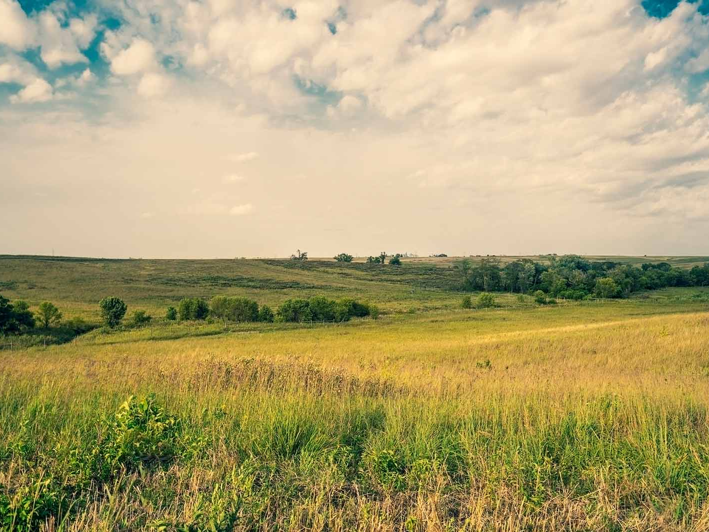 Wide Land for Project — Colorado Springs, CO — Case International Company