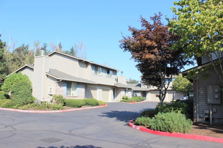 Springtree Park gallery