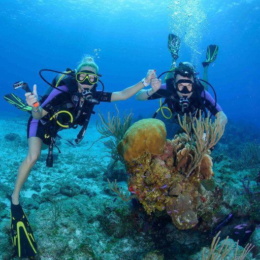 Dos buceadores se toman de la mano cerca del arrecife de coral.