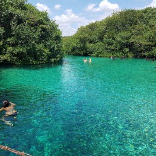 Agua turquesa rodeada de exuberantes árboles verdes; la gente nada en el agua clara bajo un cielo azul.