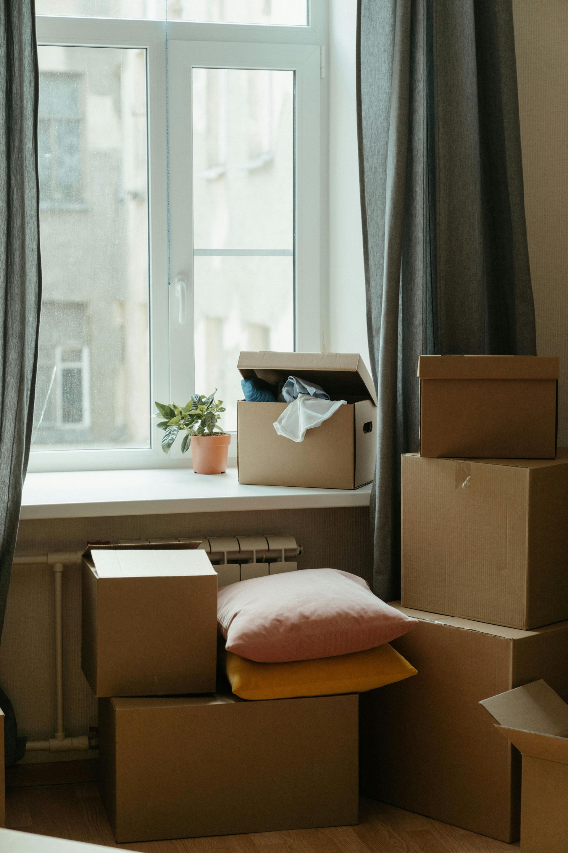 Cardboard boxes stacked by a window with a small potted plant; moving items.