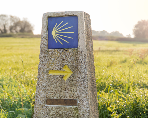 Camino de Santiago The French Way