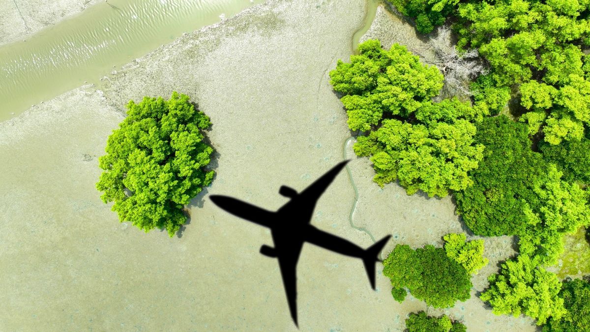 An aerial view of an airplane flying over a lush green forest.