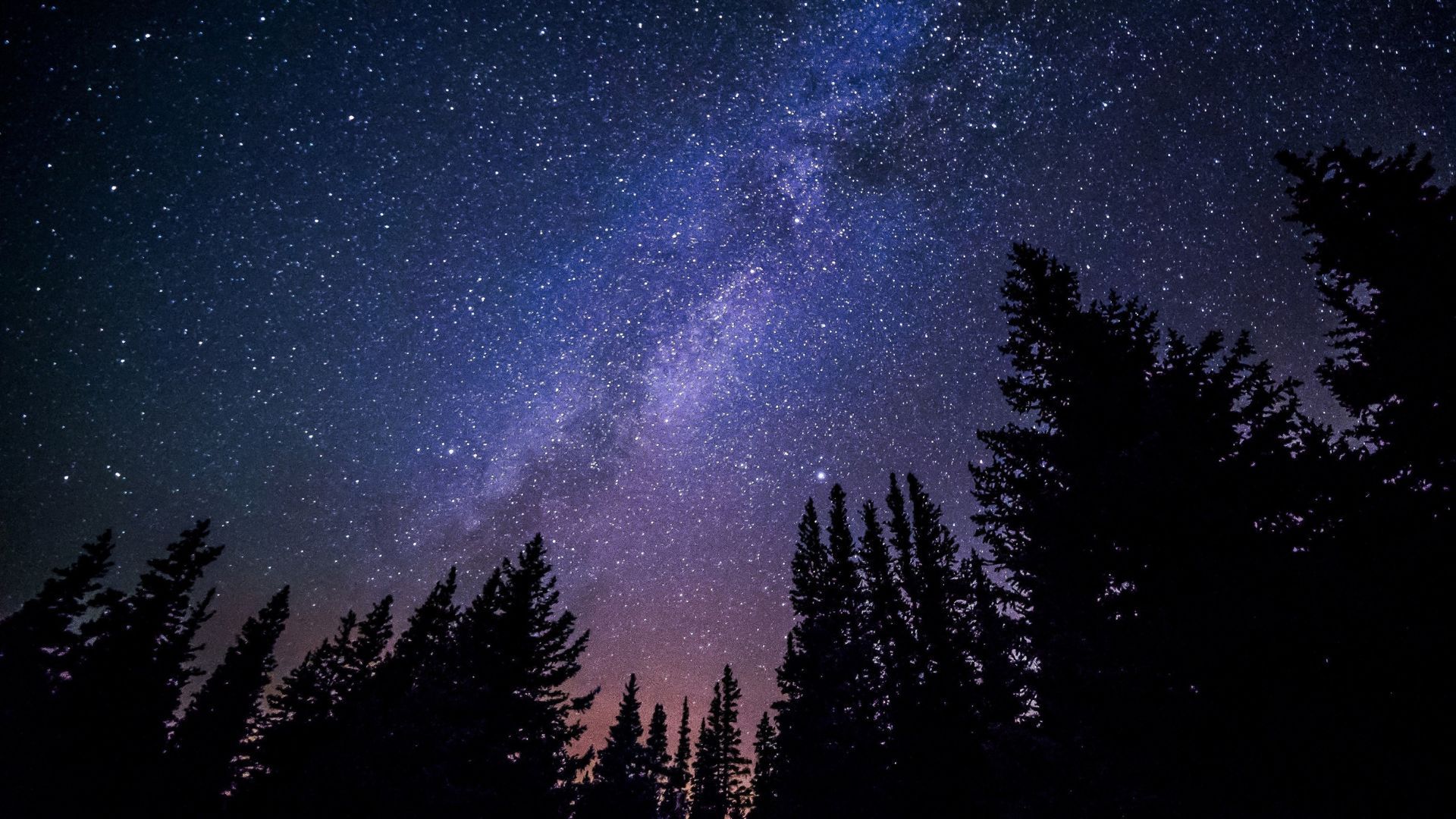 Night sky with bright Milky Way, silhouetted trees in the foreground.