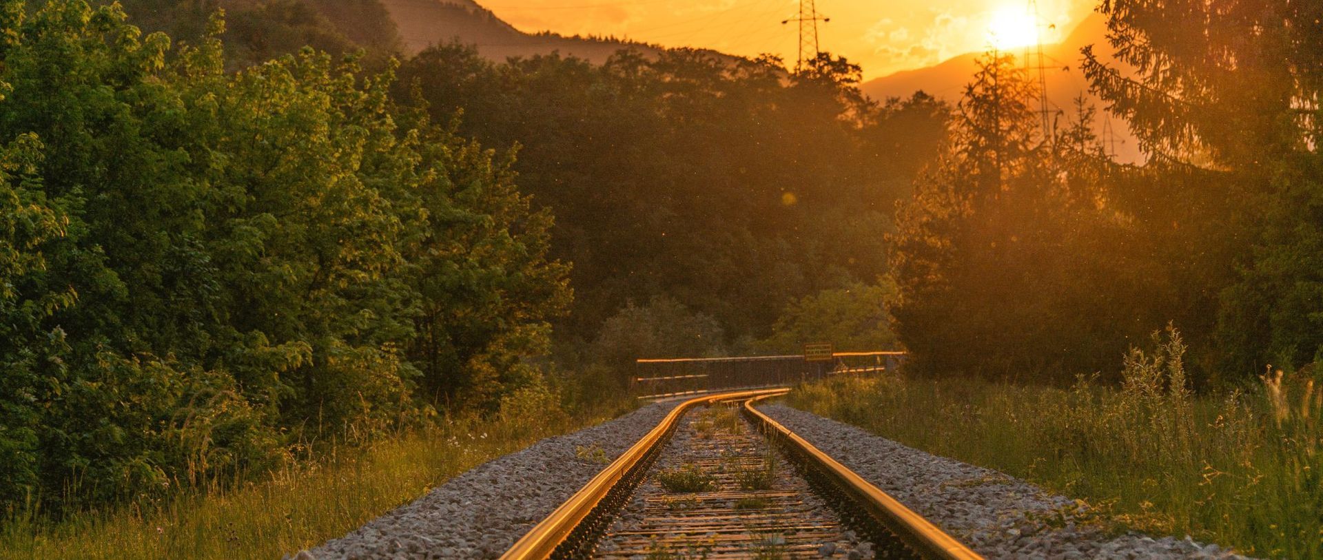 A train track going through a forest at sunset.