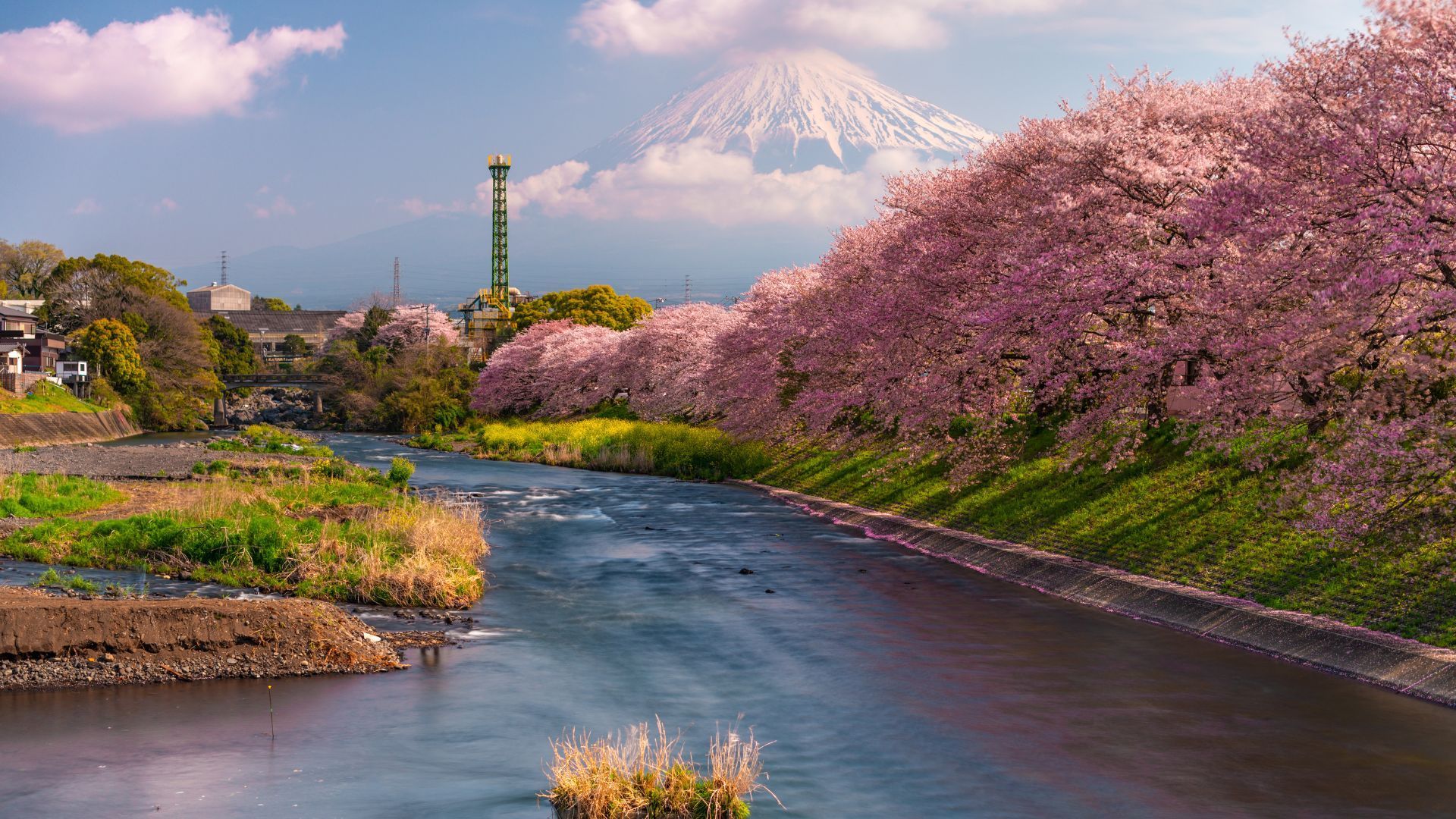 Japan
