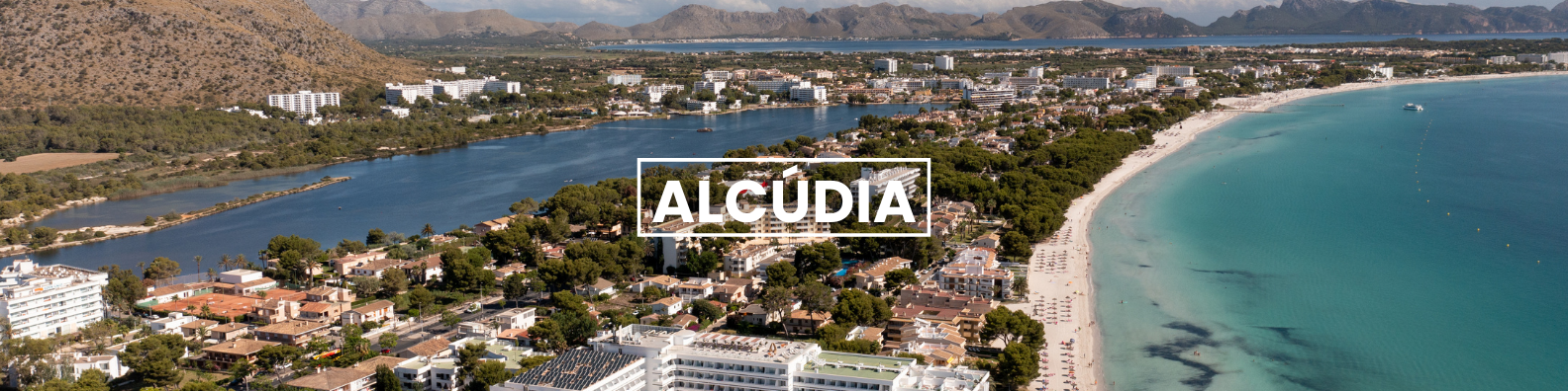 an aerial view of a beach and a river in alcudia . Barter's Travelnet 