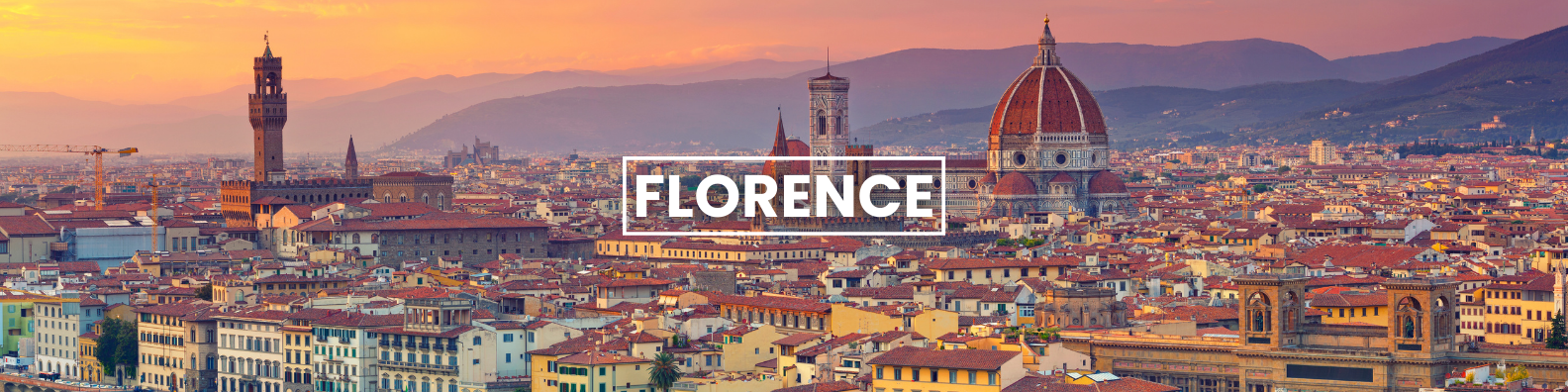 an aerial view of the city of florence at sunset . Barter's Travelnet 