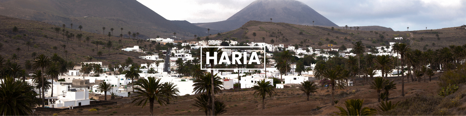 a blurred image of a landscape with the word haria on it
